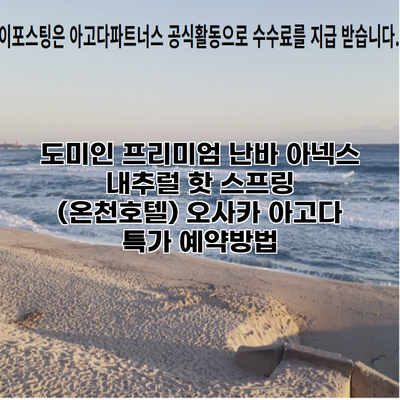 도미인 프리미엄 난바 아넥스 내추럴 핫 스프링 (온천호텔) 오사카 아고다 특가 예약방법