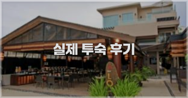 💬 실제 투숙 후기
