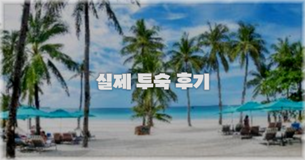 💬 실제 투숙 후기