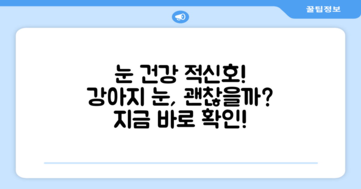 강아지 눈 건강, 이대로 괜찮을까?