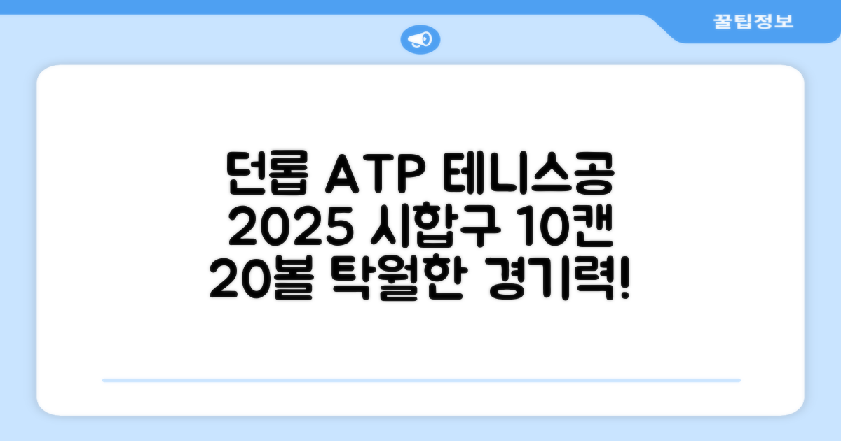 2025 던롭 ATP 테니스공 10캔 (20볼) 시합구, 던롭 ATP볼 10캔 (20볼), 10세트 추천 리뷰