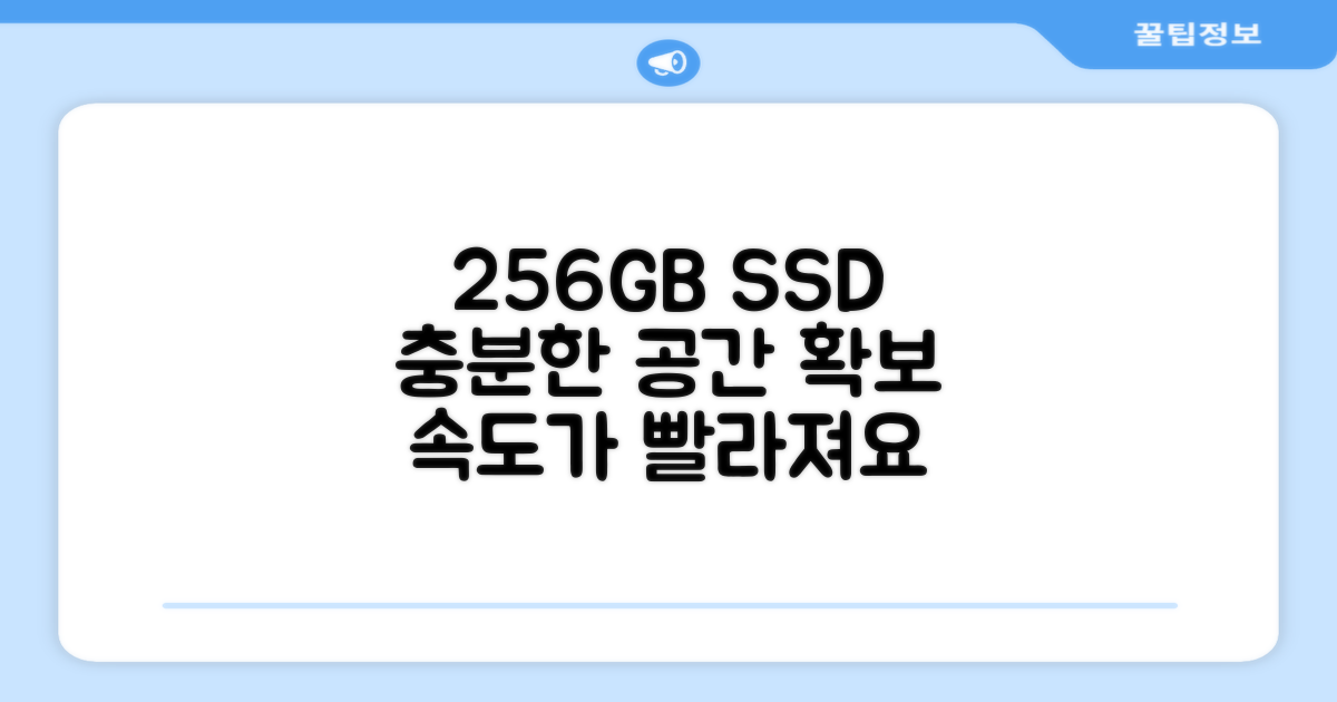 256GB SSD, 충분한 공간을 확보하세요
