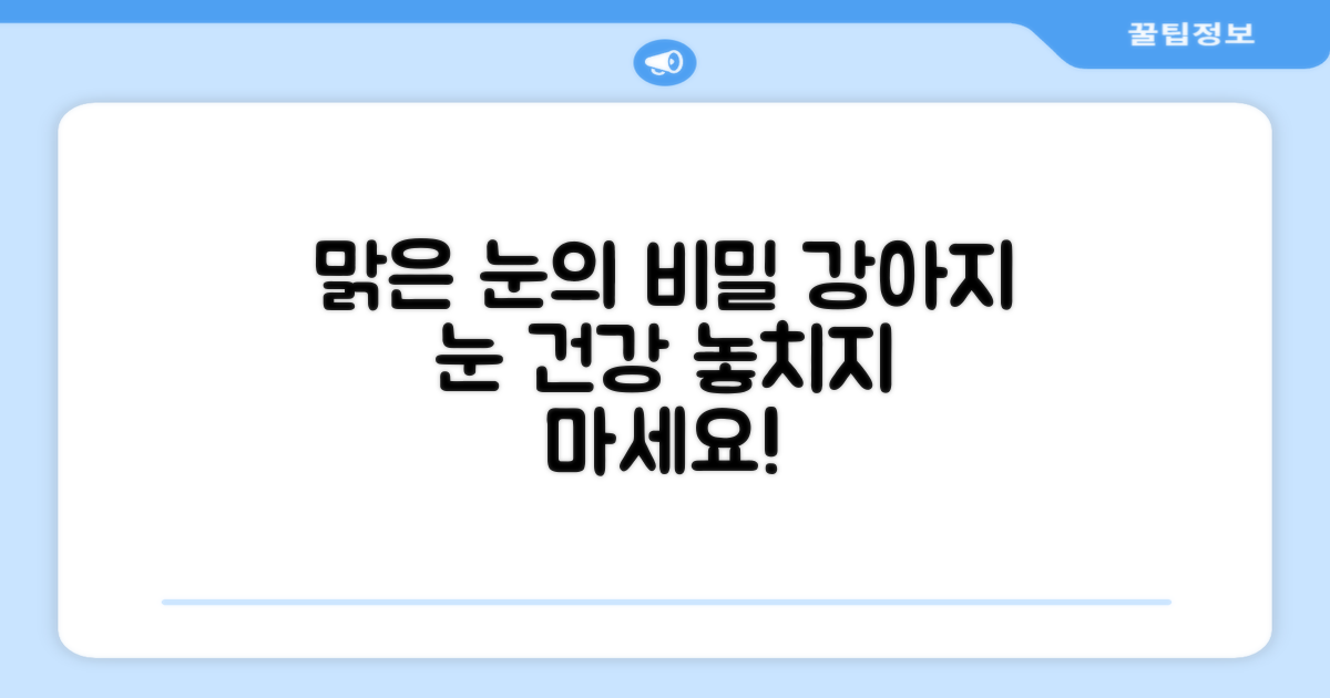 반려견 눈 건강, 챙기세요.