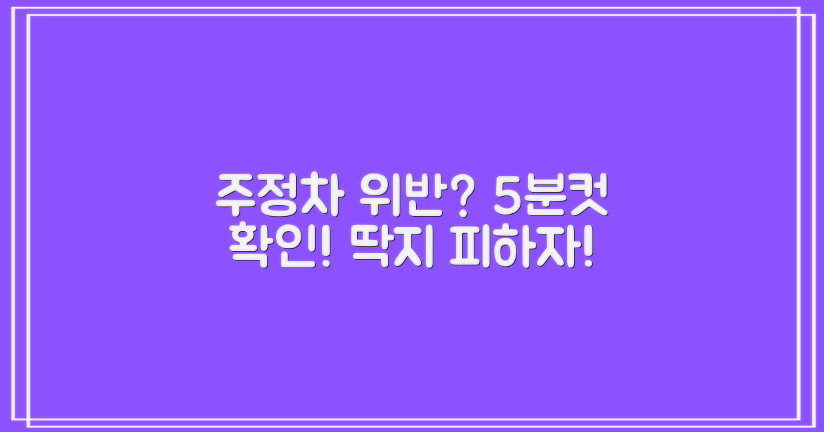 주정차 위반 5분 확인