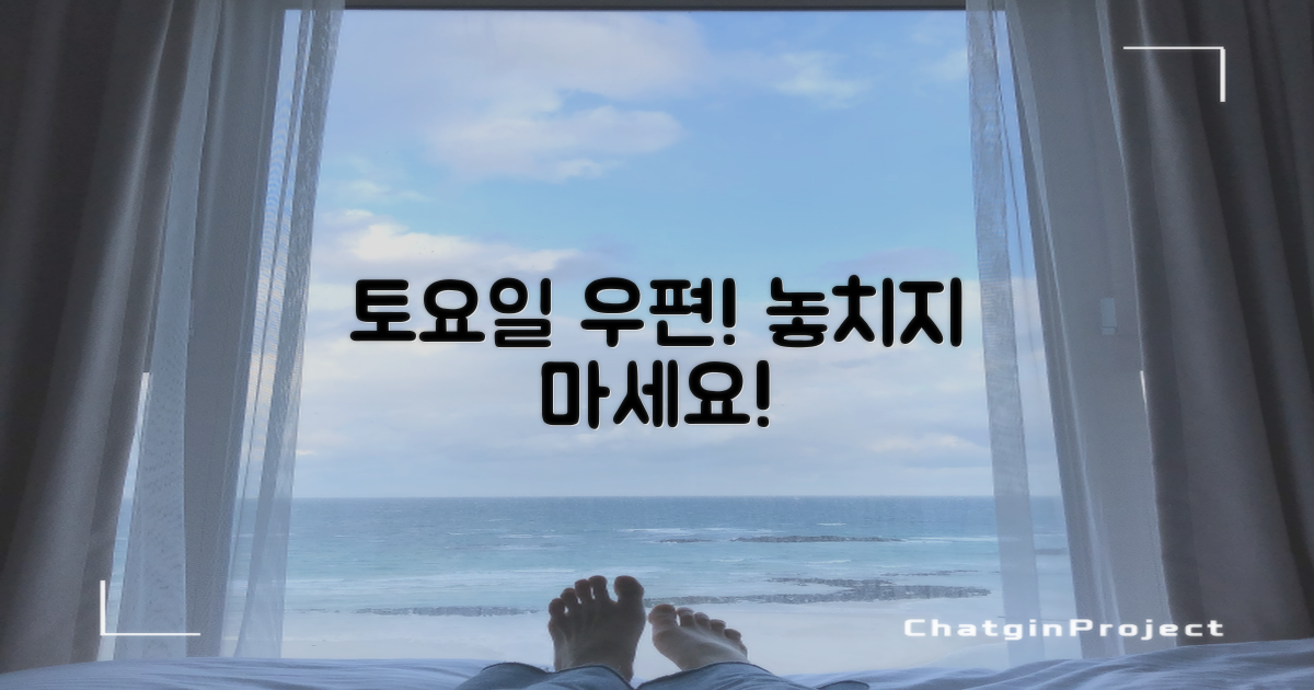 토요일 우편, 놓치지 마세요!