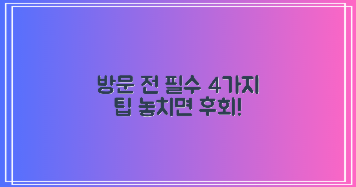 방문 전 필수 4가지 팁