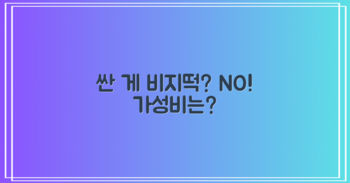 싼 게 비지떡은 아닐까?